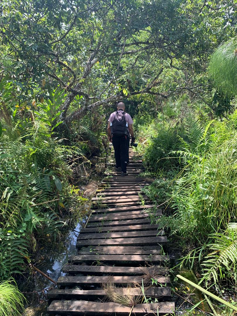 Bigodi swamp walk is adjacent.